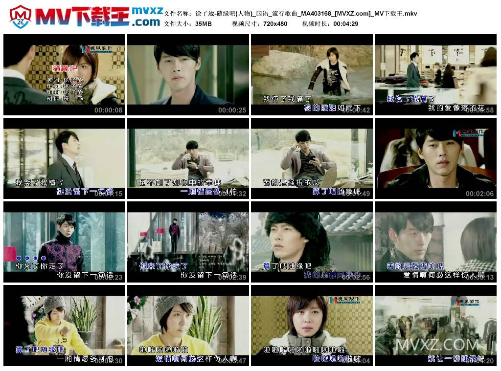 徐子崴-随缘吧(人物)_国语_流行歌曲_MA403168